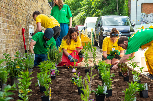 Guerilla Gardening in Peckham