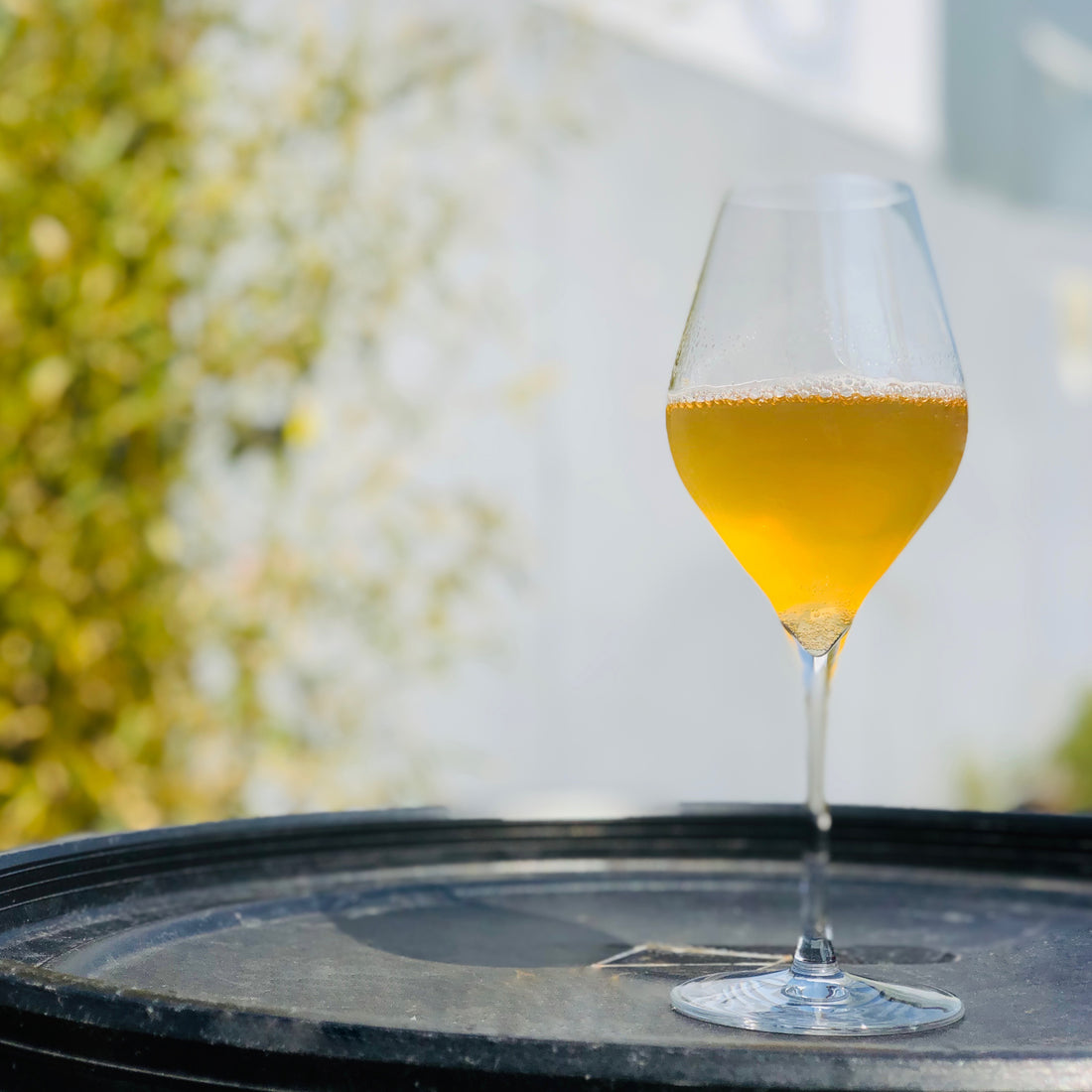 Gosnells First Sour Mead