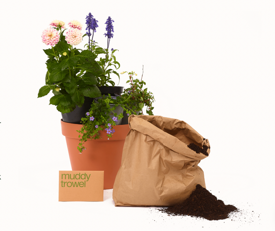 The best plants for our bee friends with Muddy Trowel